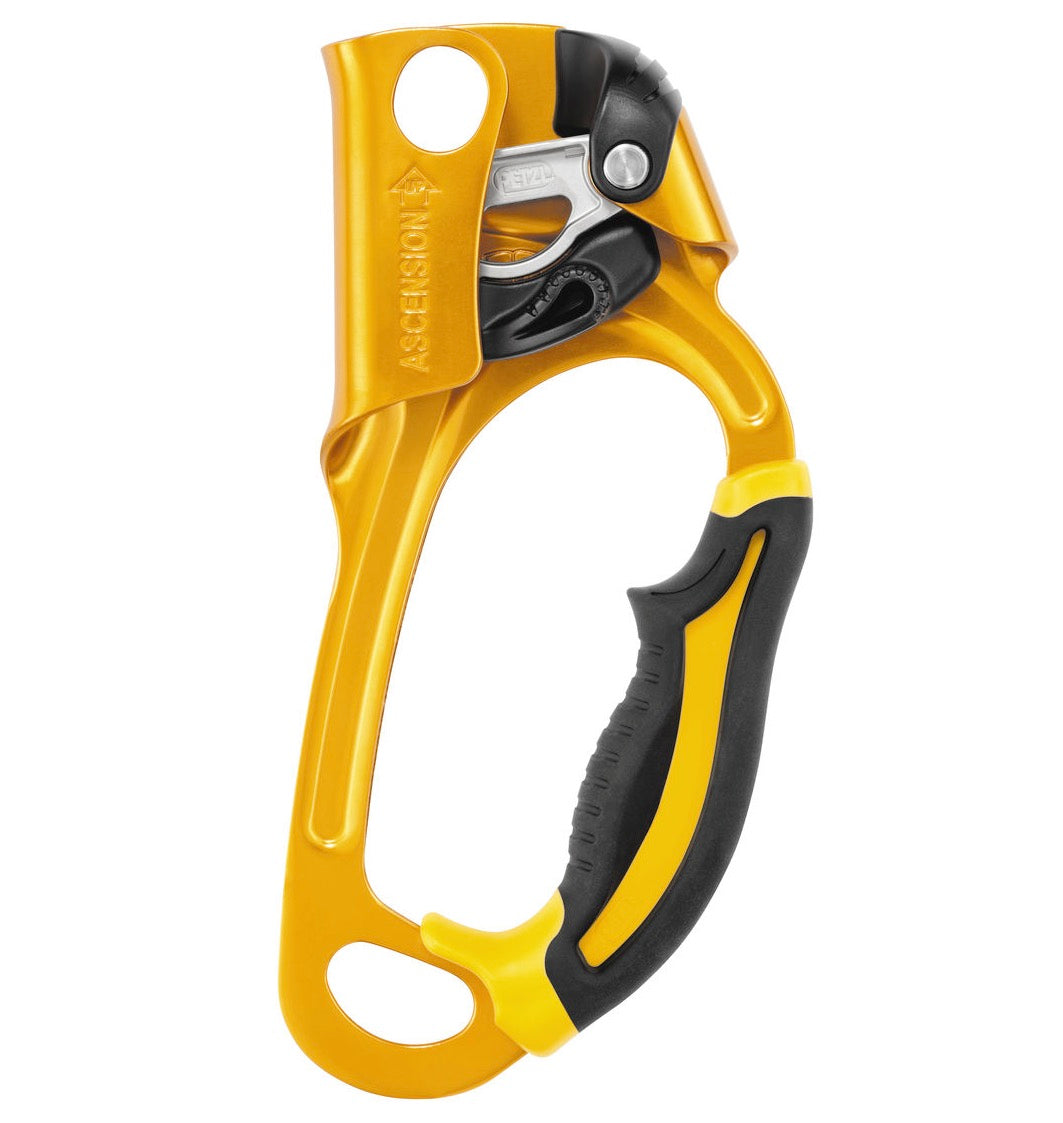 Petzl ASCENSION