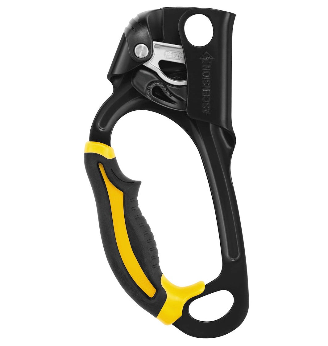 Petzl ASCENSION