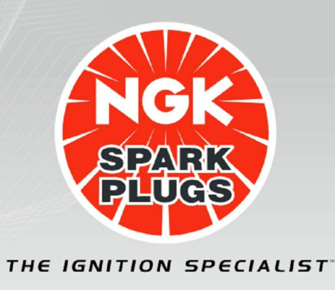 NGK Spark Plugs